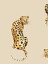 Leopard King Peel and Stick fabric in pale oak color - pattern number DB20205 - by NextWall in the Peel and Stick Wallpaper by Daisy Bennett collection