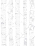 Birdie Birch wallpaper in grey color - pattern number 4060-138944 - by Chesapeake in the Fable collection