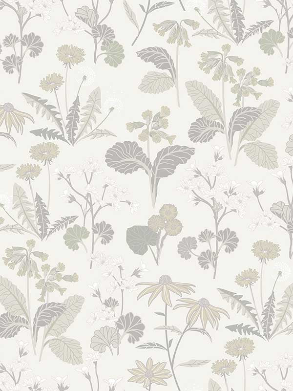 Magdalena Dandelion wallpaper in light grey color - pattern number 4080-92136 - by A Street Prints in the Ingrid collection