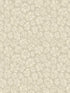 Savanna Shell fabric in parchment color - pattern number 119/4021.CS.0 - by Cole and Son in the Ardmore Jabula collection