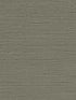 Seahaven Rushcloth fabric in black pepper color - pattern number TS80706 - by Seabrook in the Even More Textures collection