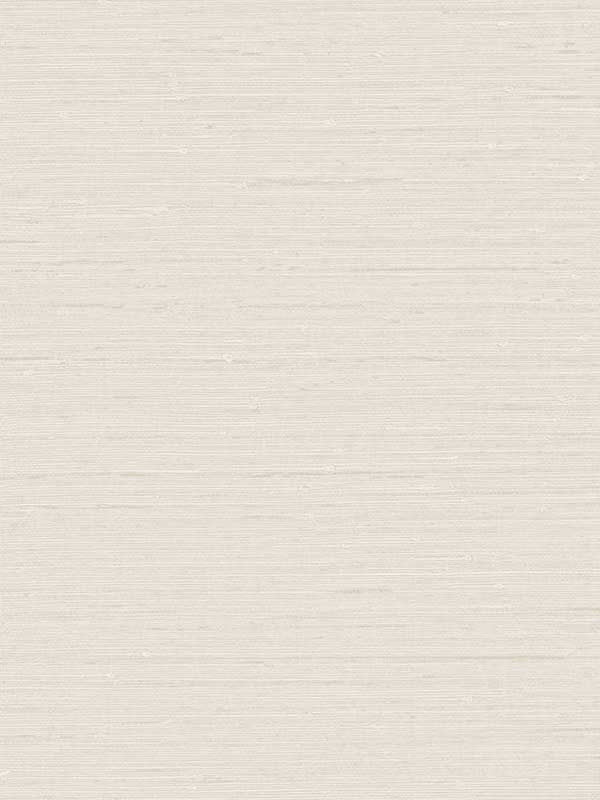 Seahaven Rushcloth fabric in chenille color - pattern number TS80707 - by Seabrook in the Even More Textures collection