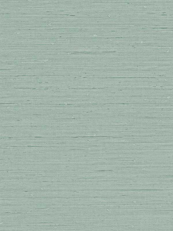 Seahaven Rushcloth fabric in aloe color - pattern number TS80714 - by Seabrook in the Even More Textures collection