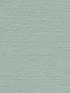 Seahaven Rushcloth fabric in aloe color - pattern number TS80714 - by Seabrook in the Even More Textures collection