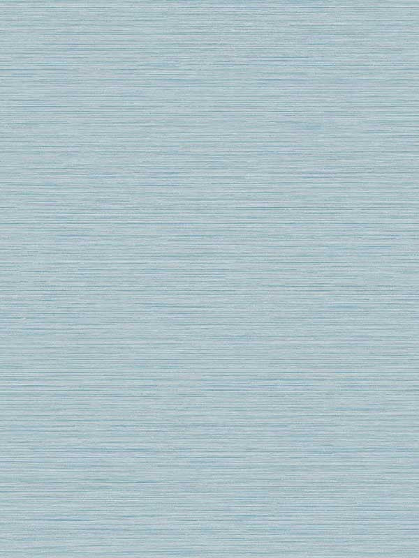 Silk wallpaper in wind chill color - pattern number TS81412 - by Seabrook in the Even More Textures collection