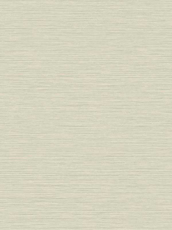 Silk wallpaper in fawn color - pattern number TS81417 - by Seabrook in the Even More Textures collection