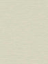 Silk wallpaper in fawn color - pattern number TS81417 - by Seabrook in the Even More Textures collection