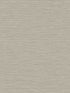Silk wallpaper in golden sable color - pattern number TS81427 - by Seabrook in the Even More Textures collection