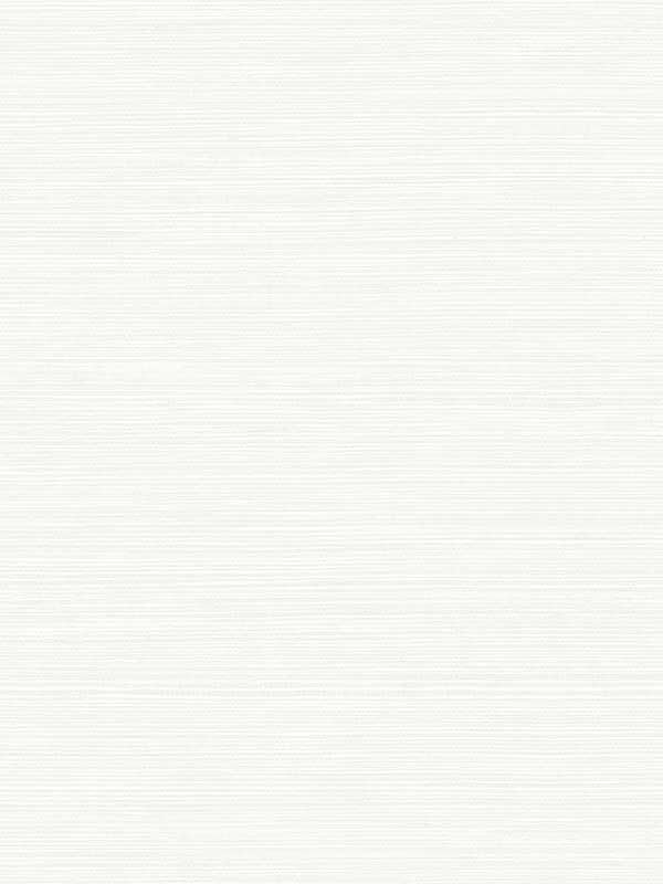 Seawave Sisal fabric in caster sugar color - pattern number TS82000 - by Seabrook in the Even More Textures collection