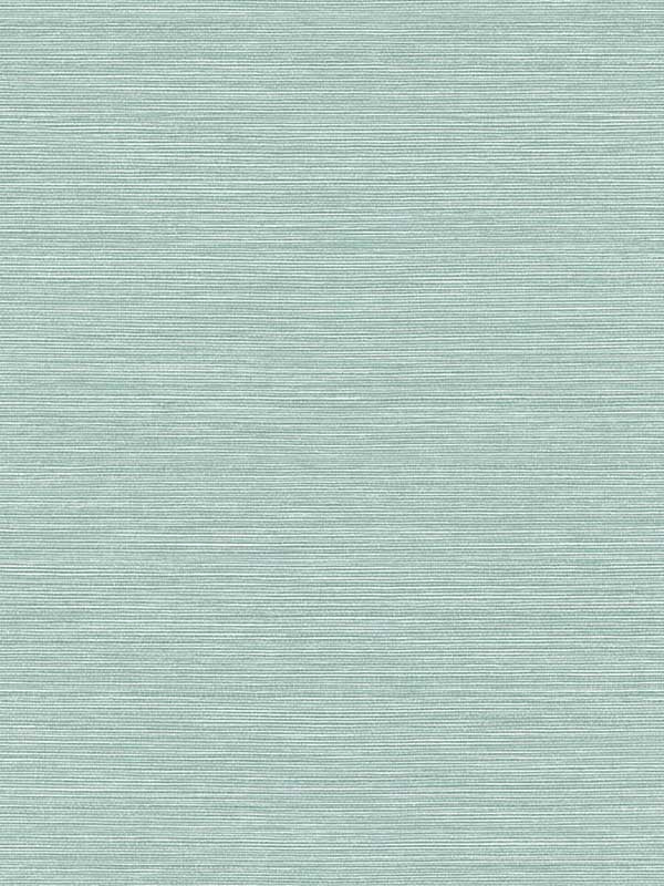 Seawave Sisal fabric in calm waters color - pattern number TS82006 - by Seabrook in the Even More Textures collection