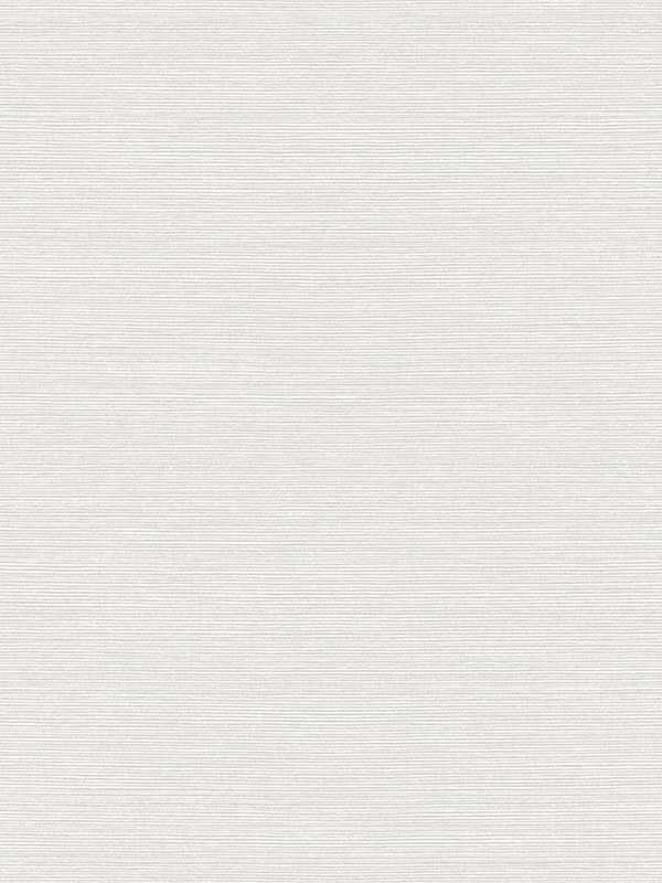 Seawave Sisal fabric in en blanc color - pattern number TS82007 - by Seabrook in the Even More Textures collection