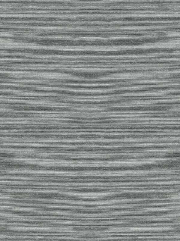 Seawave Sisal fabric in greyhound color - pattern number TS82010 - by Seabrook in the Even More Textures collection