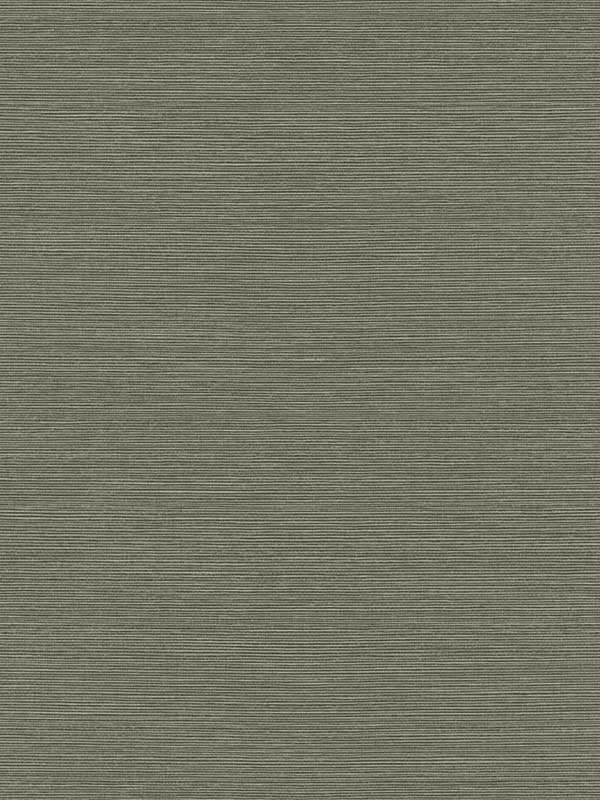 Seawave Sisal fabric in raw umber color - pattern number TS82015 - by Seabrook in the Even More Textures collection