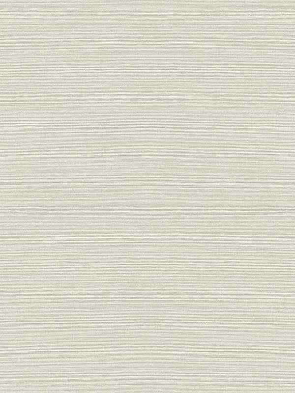 Seawave Sisal fabric in campfire smoke color - pattern number TS82025 - by Seabrook in the Even More Textures collection