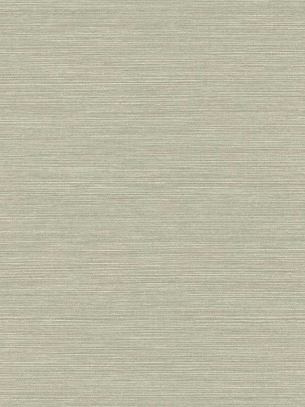 Seawave Sisal fabric in yerba color - pattern number TS82035 - by Seabrook in the Even More Textures collection