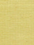 Sisal Grasscloth fabric in lemon zest color - pattern number WSS4526.WT.0 - by Winfield Thybony in the Simply Sisal collection