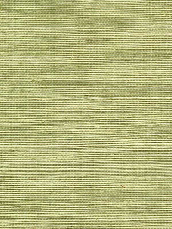 Sisal Grasscloth fabric in pea pod color - pattern number WSS4530.WT.0 - by Winfield Thybony in the Simply Sisal collection