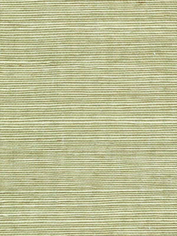 Sisal Grasscloth fabric in fern color - pattern number WSS4531.WT.0 - by Winfield Thybony in the Simply Sisal collection