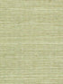 Sisal Grasscloth fabric in fern color - pattern number WSS4531.WT.0 - by Winfield Thybony in the Simply Sisal collection