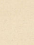 Cain Rice Texture fabric in wheat color - pattern number 4096-520842 - by Advantage in the Concrete collection