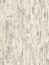 Colm Birch fabric in beige color - pattern number 4096-554052 - by Advantage in the Concrete collection