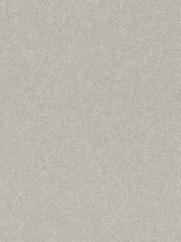 Dale Texture wallpaper in light grey color - pattern number 4096-554489 - by Advantage in the Concrete collection