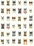 Cool Cats Peel and Stick fabric in multi white color - pattern number PSW1463RL - by Rifle Paper Co in the Rifle Paper Co Second Edition Peel and Stick Wallpaper collection