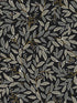 Willowberry Peel and Stick fabric in black color - pattern number PSW1472RL - by Rifle Paper Co in the Rifle Paper Co Second Edition Peel and Stick Wallpaper collection