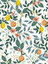 Citrus Grove Peel and Stick fabric in white color - pattern number PSW1479RL - by Rifle Paper Co in the Rifle Paper Co Second Edition Peel and Stick Wallpaper collection