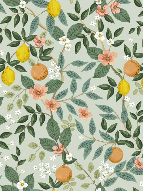 Citrus Grove Peel and Stick fabric in mint color - pattern number PSW1480RL - by Rifle Paper Co in the Rifle Paper Co Second Edition Peel and Stick Wallpaper collection