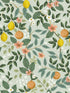 Citrus Grove Peel and Stick fabric in mint color - pattern number PSW1480RL - by Rifle Paper Co in the Rifle Paper Co Second Edition Peel and Stick Wallpaper collection