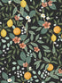 Citrus Grove Peel and Stick fabric in black color - pattern number PSW1482RL - by Rifle Paper Co in the Rifle Paper Co Second Edition Peel and Stick Wallpaper collection