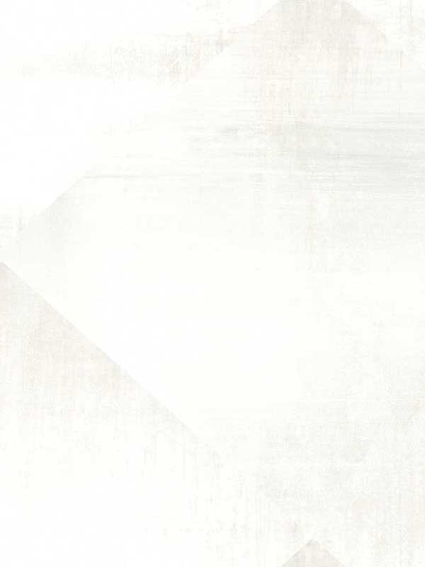 In Clay fabric in white color - pattern number CC1216 - by York Designer Series in the Carol Benson Cobb Signature Wallcoverings collection