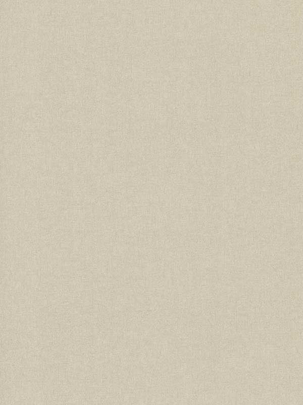 Paper and Thread Weave wallpaper in champagne color - pattern number DA3581N - by York Designer Series in the Carol Benson Cobb Signature Wallcoverings collection