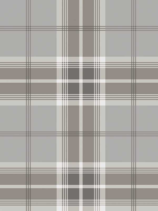 Sala Plaid fabric in neutral color - pattern number 2980-92121 - by Advantage in the Splash collection