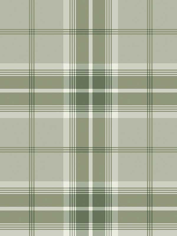 Sala Plaid fabric in green color - pattern number 2980-92122 - by Advantage in the Splash collection