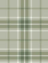 Sala Plaid fabric in green color - pattern number 2980-92122 - by Advantage in the Splash collection