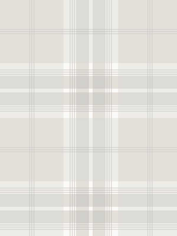 Sala Plaid fabric in white color - pattern number 2980-92123 - by Advantage in the Splash collection