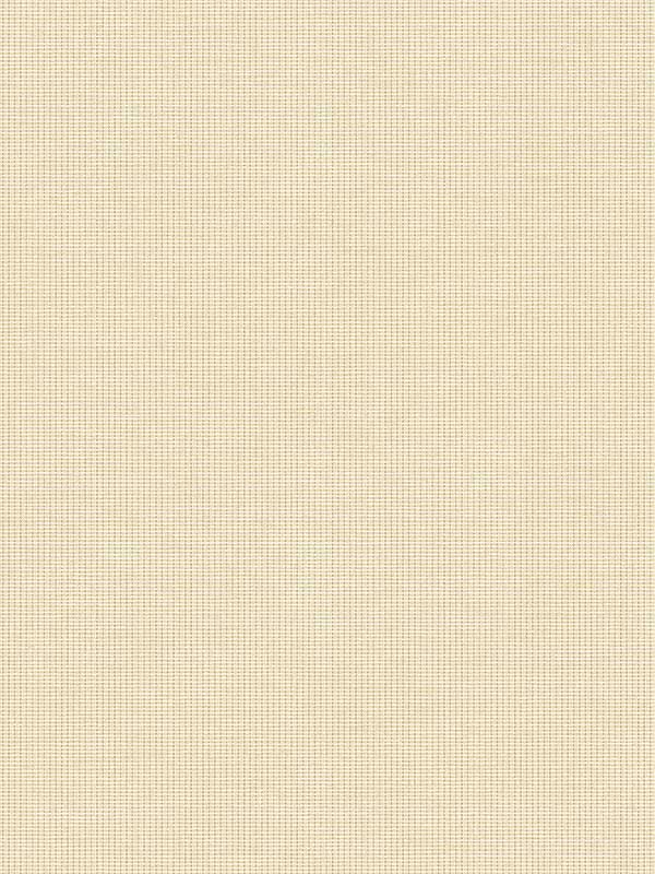 Queens Weave wallpaper in warm beige color - pattern number DC61005 - by Collins and Company in the Deco 2 collection