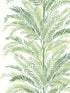 Keana Palm Peel and Stick wallpaper in paradise green color - pattern number LN30104 - by NextWall in the Peel and Stick Wallpaper by Lillian August Luxe Haven 2 collection