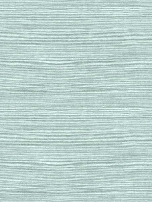 Seaside Faux Sisal Peel and Stick fabric in lakeside color - pattern number SG11502 - by NextWall in the Peel and Stick Wallpaper by Stacy Garcia Sojourn Collection 2 collection