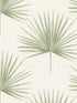 Richmond wallpaper in silver tipped sage color - pattern number CL20904 - by Carl Robinson in the Carl Robinson 18 Napa collection