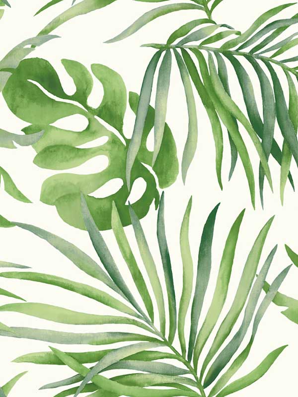 Paradise Palm Peel and Stick wallpaper in green color - pattern number PSW1412RL - by Candice Olson in the Simply Candice Peel and Stick Wallpaper collection