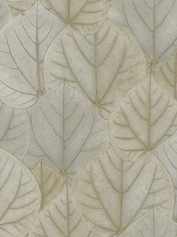 Leaf Concerto Peel and Stick wallpaper in warm taupe color - pattern number PSW1425RL - by Candice Olson in the Simply Candice Peel and Stick Wallpaper collection
