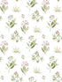 Mazzetto Edra wallpaper in pink color - pattern number 84012 - by Galerie in the Cottage Chic collection