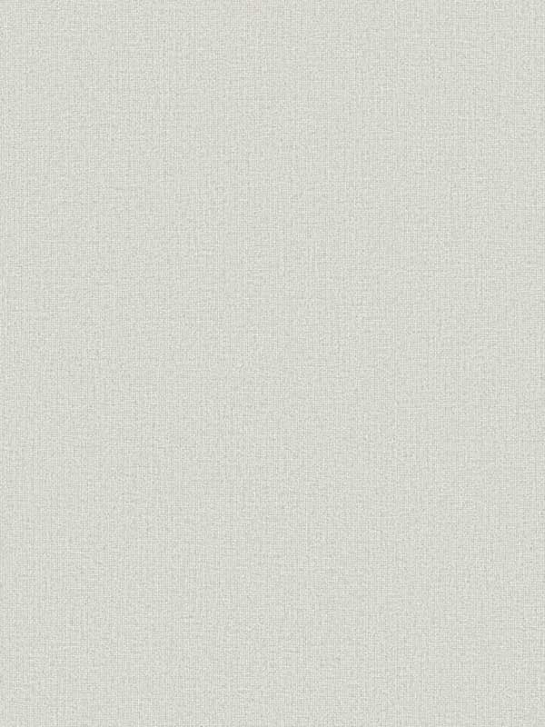 Dandy fabric in light grey color - pattern number ND3008N - by York in the Natural Digest collection