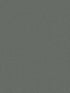 Dandy fabric in green color - pattern number ND3011N - by York in the Natural Digest collection