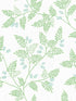 Ardell Botanical fabric in light green color - pattern number 4074-26600 - by A Street Prints in the Georgia collection