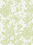 Helen Floral Trail wallpaper in light green color - pattern number 4074-26628 - by A Street Prints in the Georgia collection