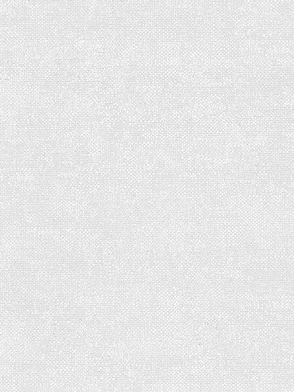Micro Texture fabric in oqaque grey color - pattern number G78136 - by Patton Norwall in the Texture FX collection